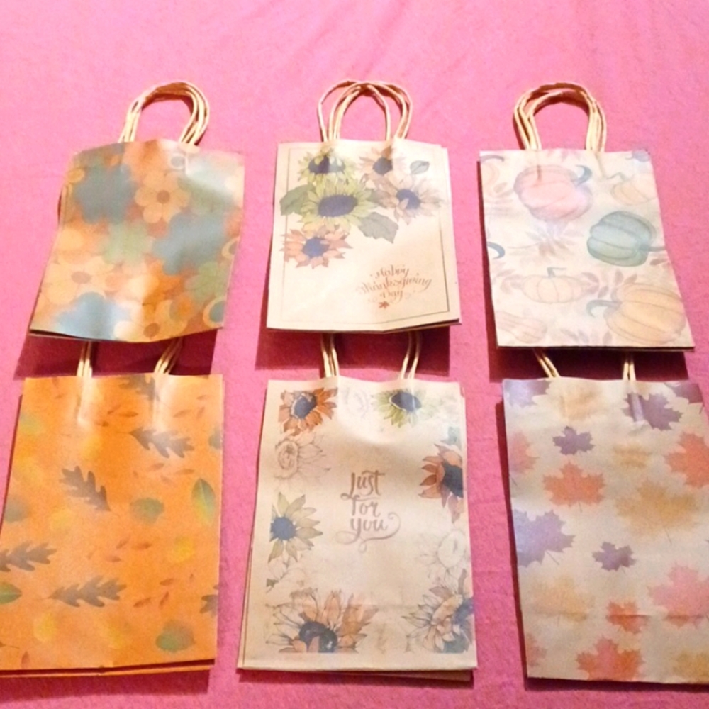 🌞 Gift Bags - 12